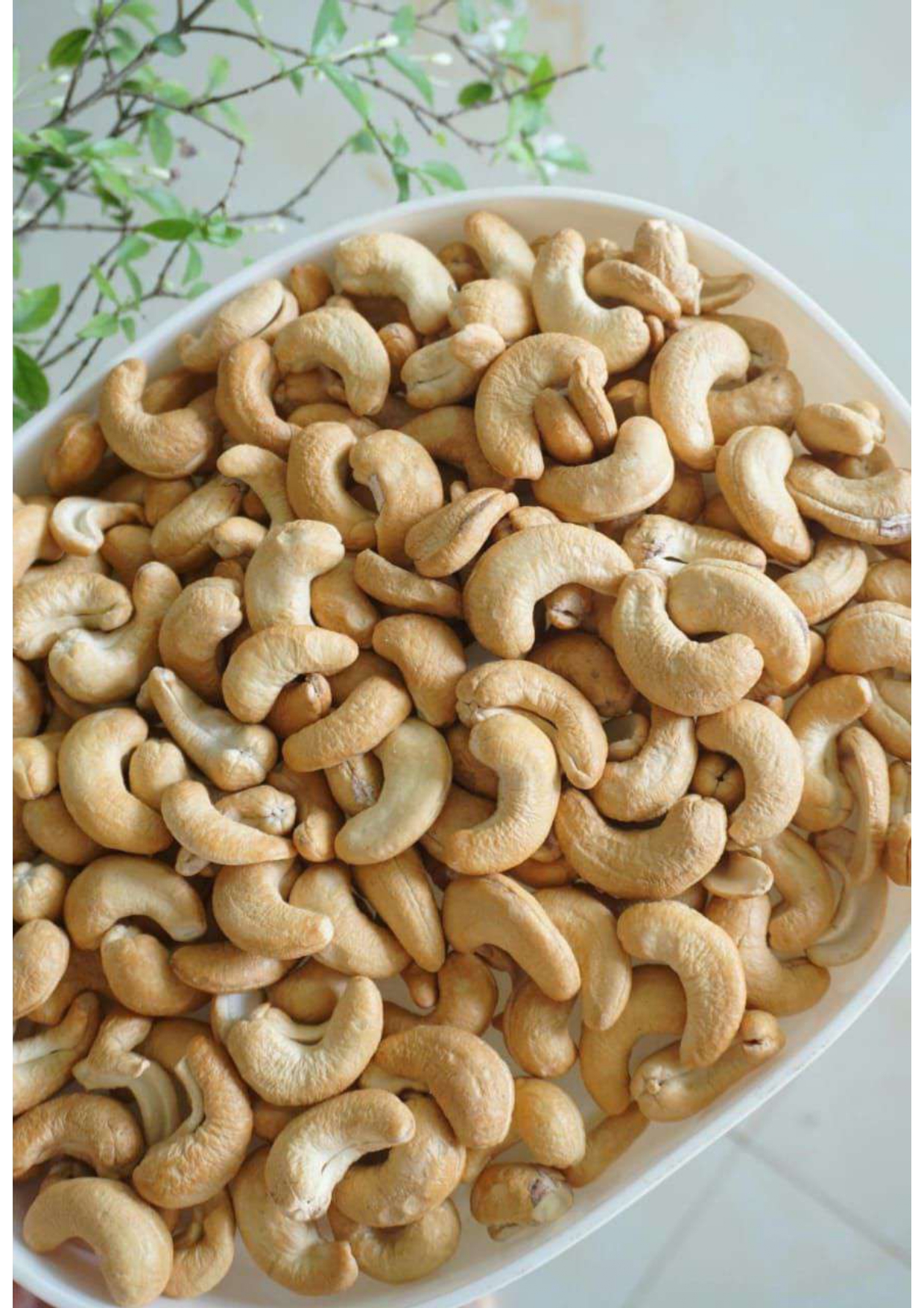 CASHEW NUTS